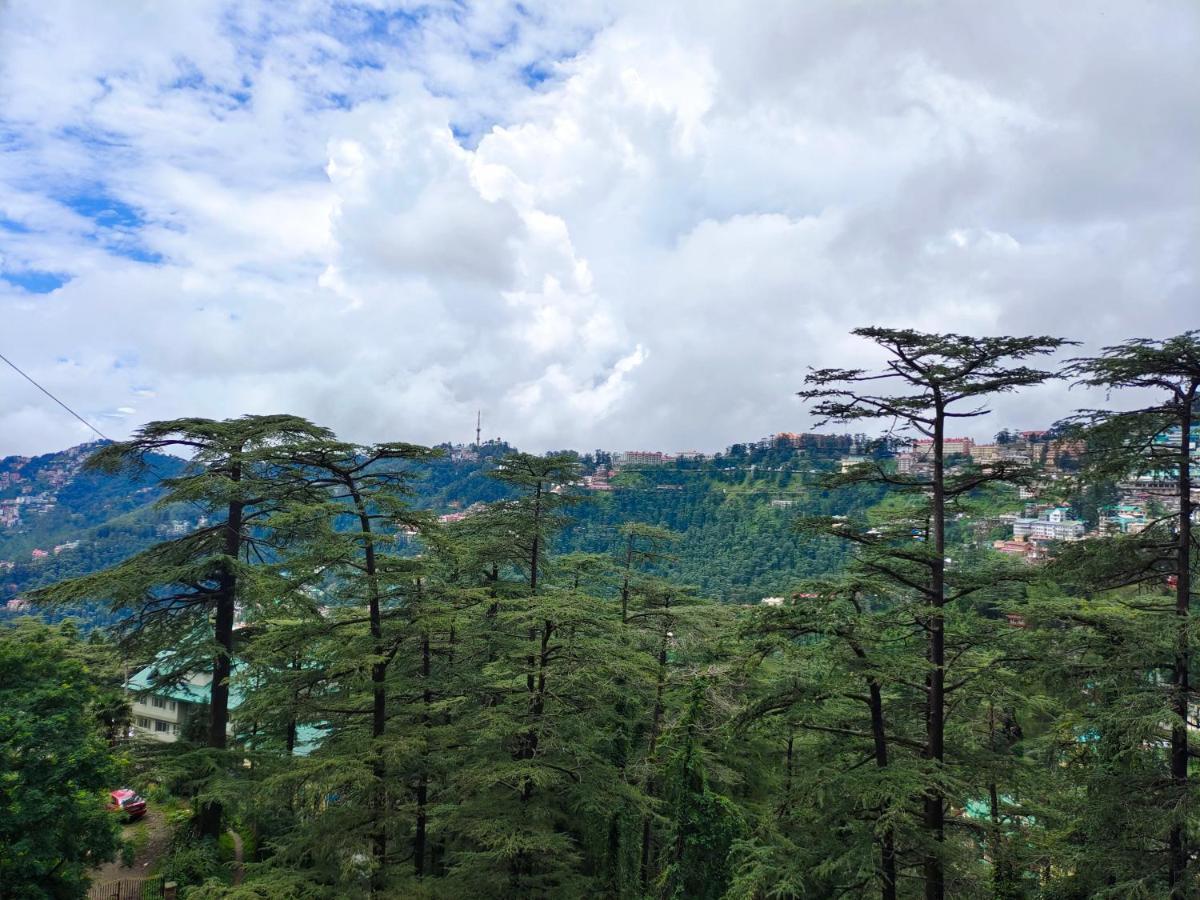 Mountain Zest-Simla Royale Near Mall Road-Free Pickup From Railway Station Simla מראה חיצוני תמונה